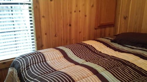 Emigrant Gap Resort | Snowflower Camping Resort Cabin 3