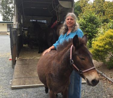 Newmerella Hotel | Snowy River Lodge Motel