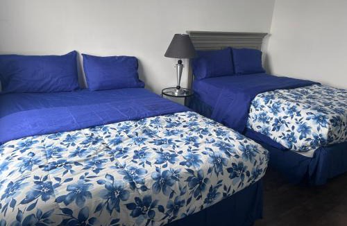 Elizabeth Apartment | So sweet so stylish