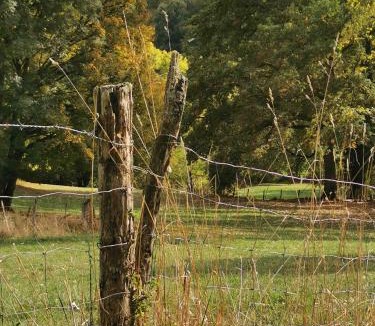 Miers House | Sol de la Dime