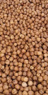 Miers House | Sol de la Dime