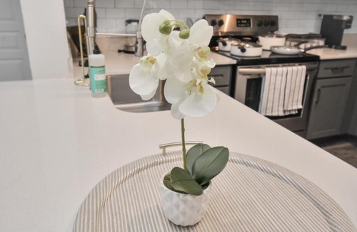South Central Houston Apartment | Solatair Oasis Smart Hub with Free Parking, Pool&Gym