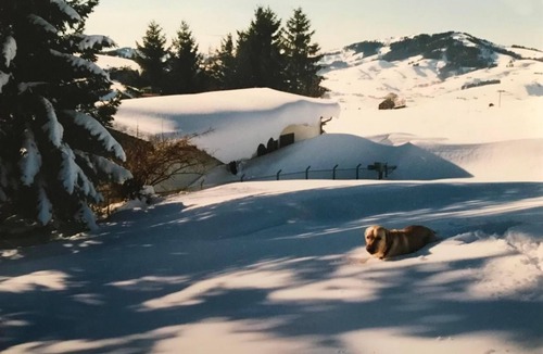 Appenzell Ski Chalet | Soldanella