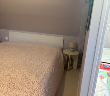 Solesmes Apartment | Solesmes exceptionnel studio