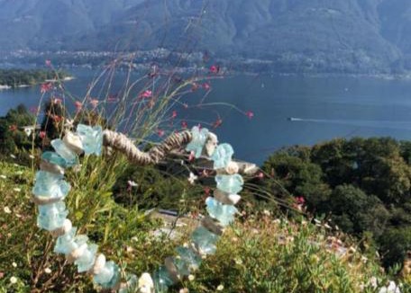 Ascona Apartment | Sollevante Ascona mit Pool und fantastischer Seesicht