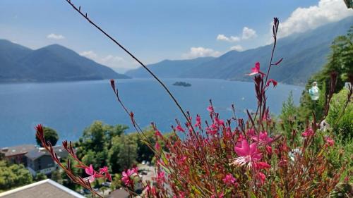 Ascona Apartment | Sollevante Ascona mit Pool und fantastischer Seesicht