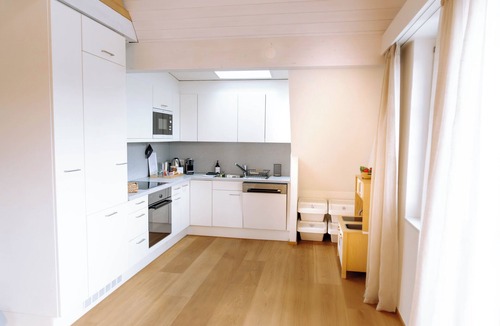 Kuessnacht Apartment | SolunaStay Lakefront Penthouse | Lucerne | Swiss Alps | Pilatus | Sunsets
