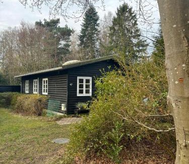 Frederiksvaerk House | Sommerhus Med Skovidyl Og Ro Ved Arresø