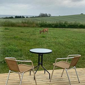 Tranekaer Bed & Breakfast | Sommerliv Bed and Breakfast
