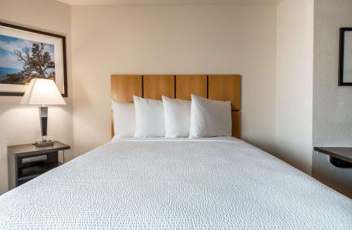 Fossil Creek Hotel | Sonesta Simply Suites Fort Worth