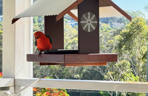 Emerald Beach House | Songbird Cottage