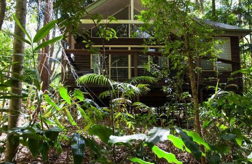 North Tamborine Villa | Songbirds Rainforest Retreat