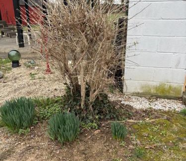 Washington House | Sonnys place