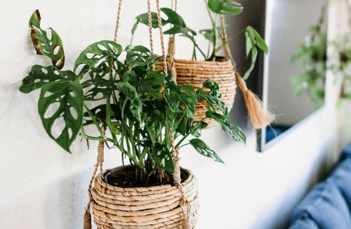 Penngrove House | Sonoma County Retreat