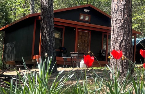 Foresthill Cabin | Soothing cabin with WiFi in charming Foresthill