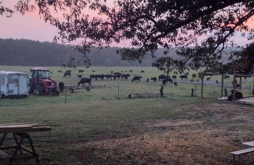 Pangburn RV Rental | Soothing camping with WiFi in charming Pangburn Arkansas.
