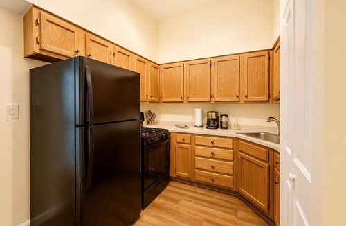 Soulard Apartment | Soulard King 1BR w Washer & 370 Mbps Wi-Fi
