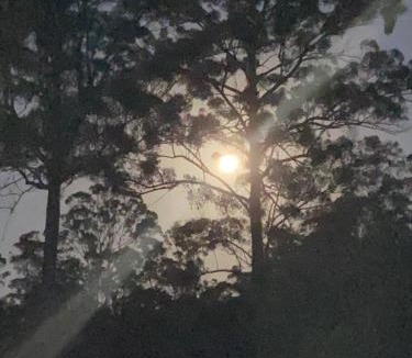 Bentley Other | Soulhaven at Bentley