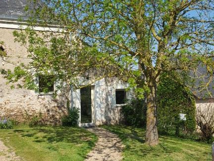 Denee House | Sous le chêne