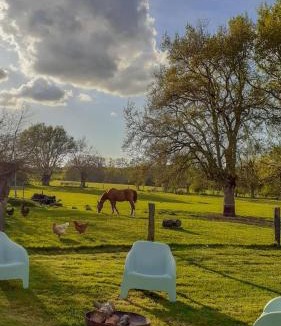 Denee House | Sous le chêne