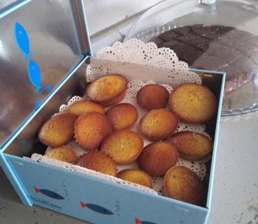 Six-Fours-les-Plages Bed & Breakfast | Sous le mûrier