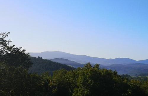 Molles Other | Sous les Toiles de PauTiLou