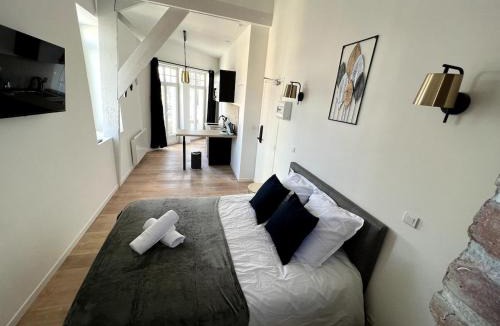 Lievin Apartment | Sous les Toits - 2p Centre-ville