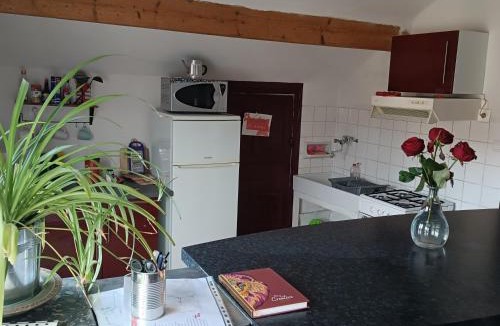 Clermont-Ferrand Apartment | Sous Les TOITS ARVERNE