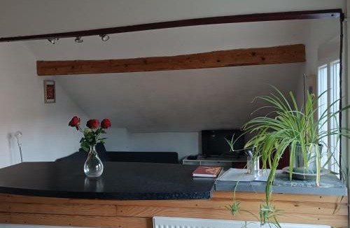 Clermont-Ferrand Apartment | Sous Les TOITS ARVERNE
