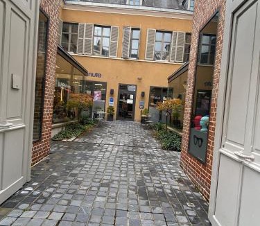 Centre Ville Apartment | Sous les toits des Jacobins, 3 chambres, WiFi