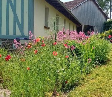 Dosches Bed & Breakfast | Sous les toits