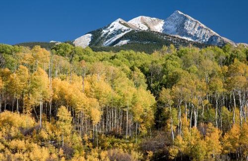 Carbondale House | South Bill Creek