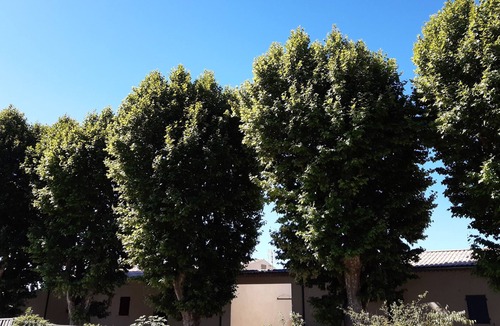 Villelaure Apartment | South-facing 2-bedroom apartment near the center of the village
