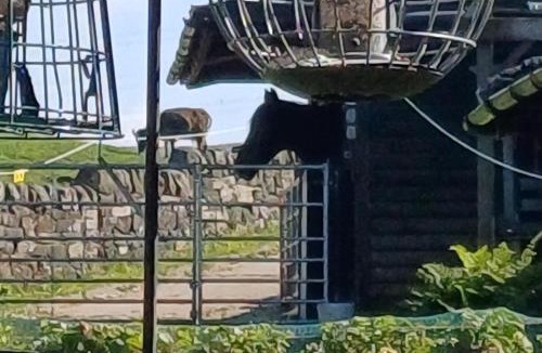 Lumbutts House | South Hollingworth Farm