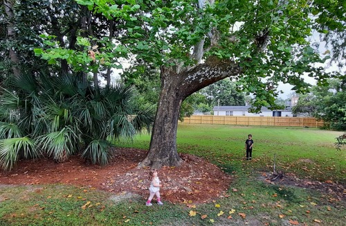 Branchville House | Southern Comfort