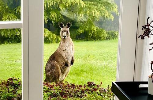 Lavers Hill Bed & Breakfast | Southern Heights