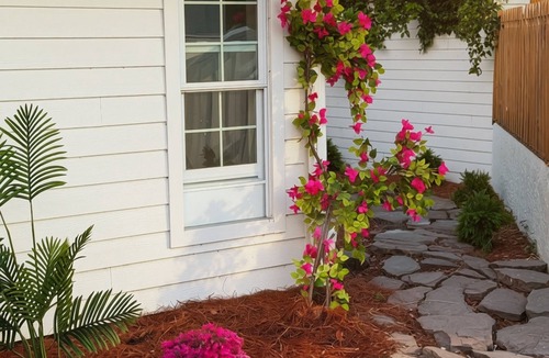 Buckingham House | Southern Vintage Farm Estate, Pool, Pond and Barn 4/3 & Event-Ready Retreat