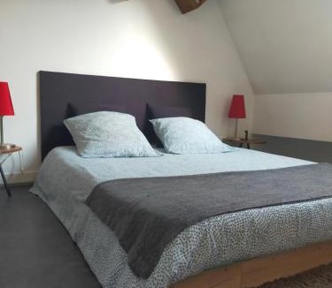 Sart-Babylone Apartment | spéculoos et chicorée