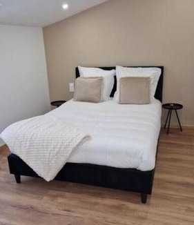 Bar-le-Duc Apartment | Spa des ducs loft 2
