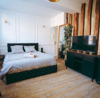 Quartier Vieux Marche-Cathedrale Apartment | Spa du palais jacuzzi sauna - Rouen centre - free parking