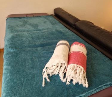 Saint-Pargoire Apartment | Spa et lit baldaquin