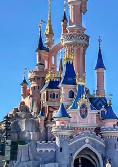 Messy Apartment | Spa nature et détente