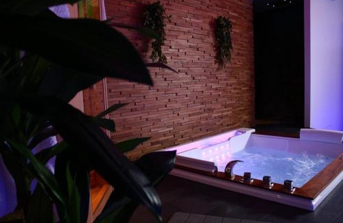 Auxerre Apartment | Spa privatif by XELA