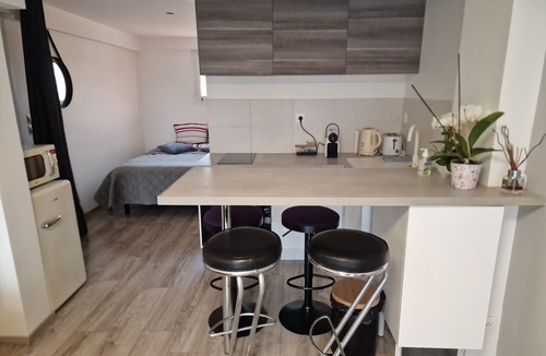 Saint-Georges-de-Reneins Apartment | Spacieux Studio en Beaujolais