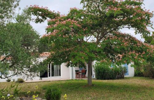 Noirmoutier-en-l'Ile House | Spacieuse maison proche plage - 10 pers. - FR-1-224B-257