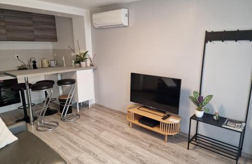 Saint-Georges-de-Reneins Apartment | spacieux studio dans le Beaujolais