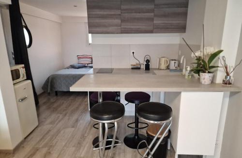 Saint-Georges-de-Reneins Apartment | spacieux studio dans le Beaujolais