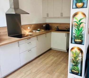 Ille-sur-Tet Apartment | Spacieux T3 au coeur d'ille