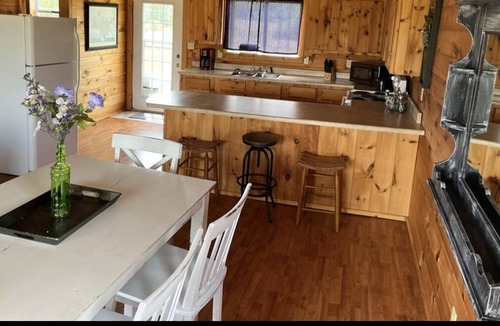 Dora Cabin | Spacious 1200sf cabin (6) in Ozark County near the river! Pets Ok!