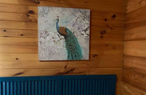 Dora Cabin | Spacious 1200sf cabin (7) in Ozark county near the river. Pets allowed.